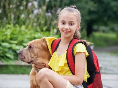 Jakie są koszty posiadania psa rasy Shar Pei?
