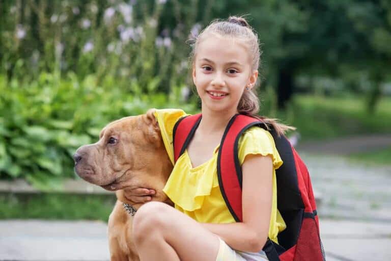 Shar Pei A Dzieci