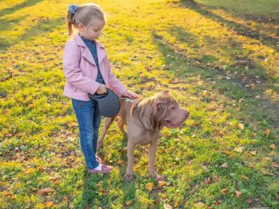 Niebieski shar pei: tajemniczy i uroczy pies rasy