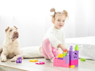 Shar Pei Biszkoptowy: Przewodnik po tej wyjątkowej rasie psów