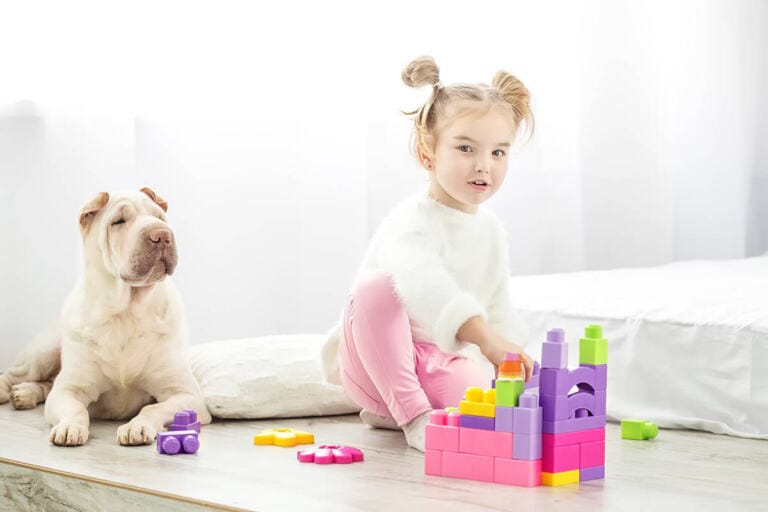 Shar Pei Podobne Rasy