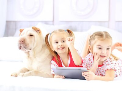 Szczególne wyzwania w szkoleniu shar pei: Jak skutecznie i łagodnie wychować tę rasę psa