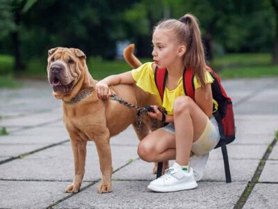 5 Ras psów podobnych do shar pei: Charakterystyka, cechy i opieka